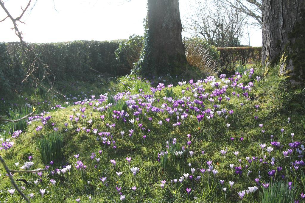 Ballyhargan Farm House Dungiven Buitenkant foto