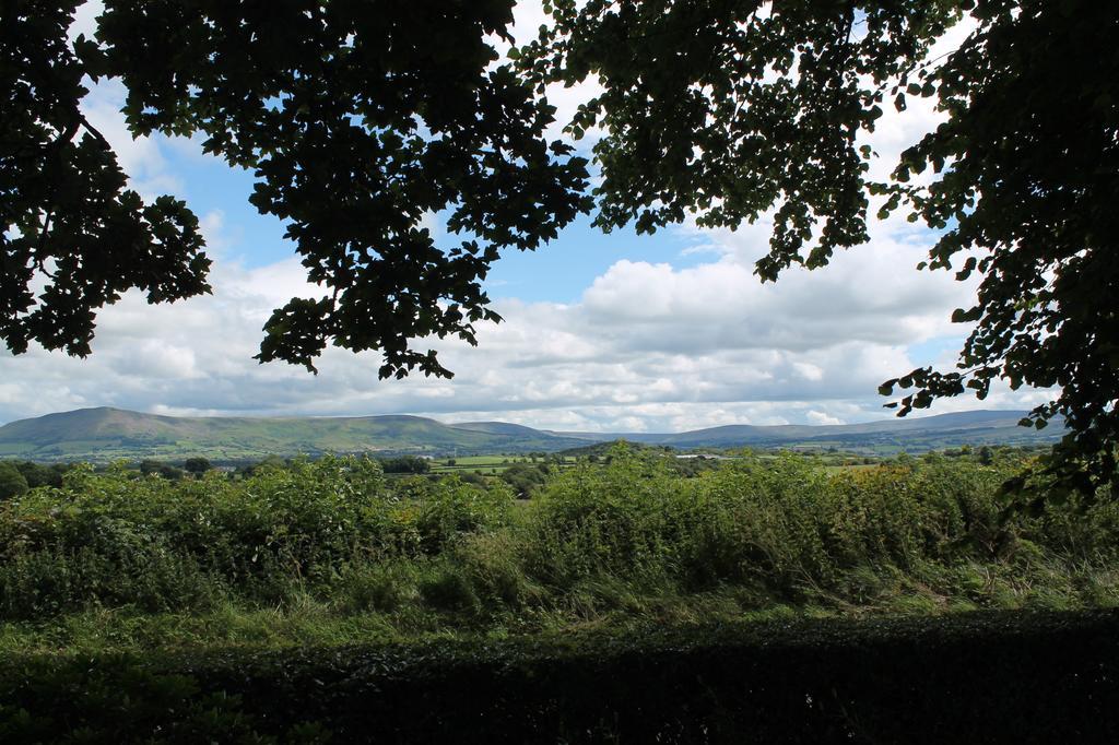 Ballyhargan Farm House Dungiven Buitenkant foto