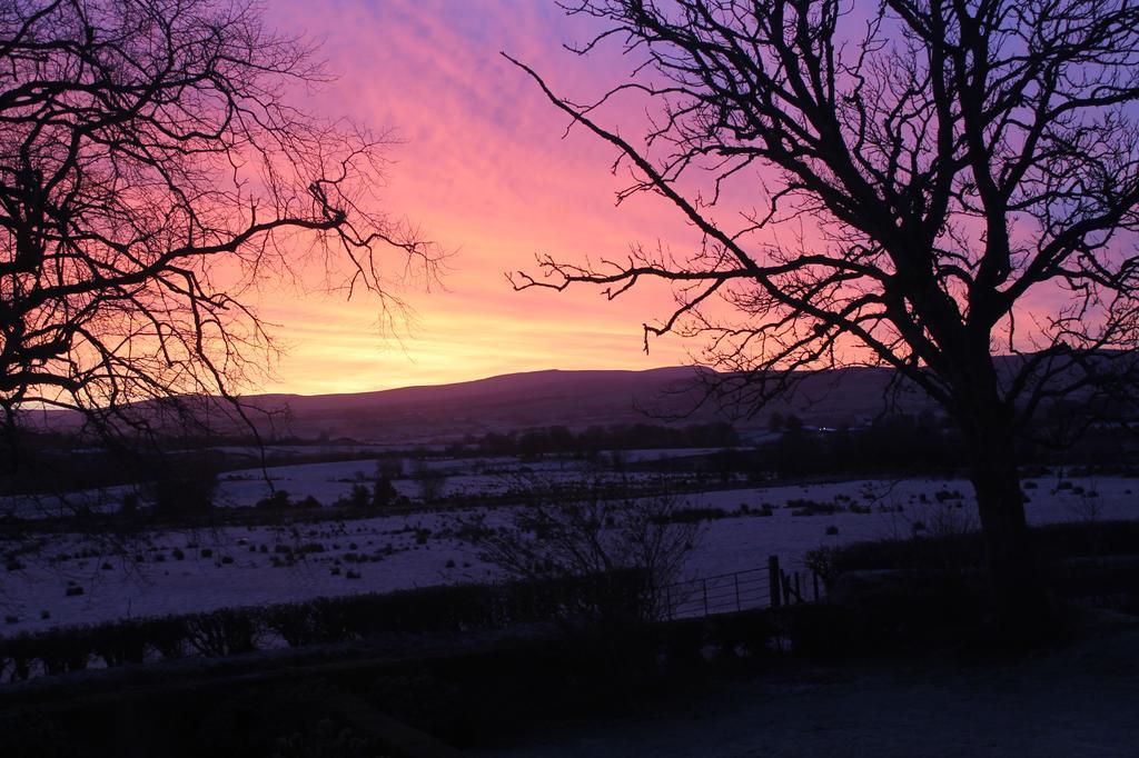 Ballyhargan Farm House Dungiven Buitenkant foto