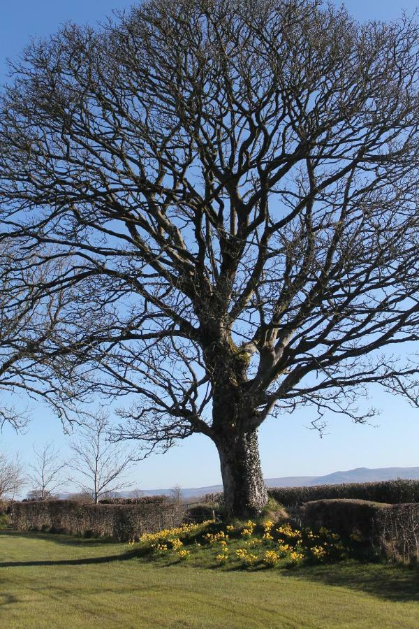 Ballyhargan Farm House Dungiven Buitenkant foto